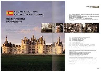 華中最大凍品交易平臺在武漢落戶 美迪斯電梯實力&ldquo;助跑&rdquo;|電梯|武漢|技術(shù)_新浪新聞